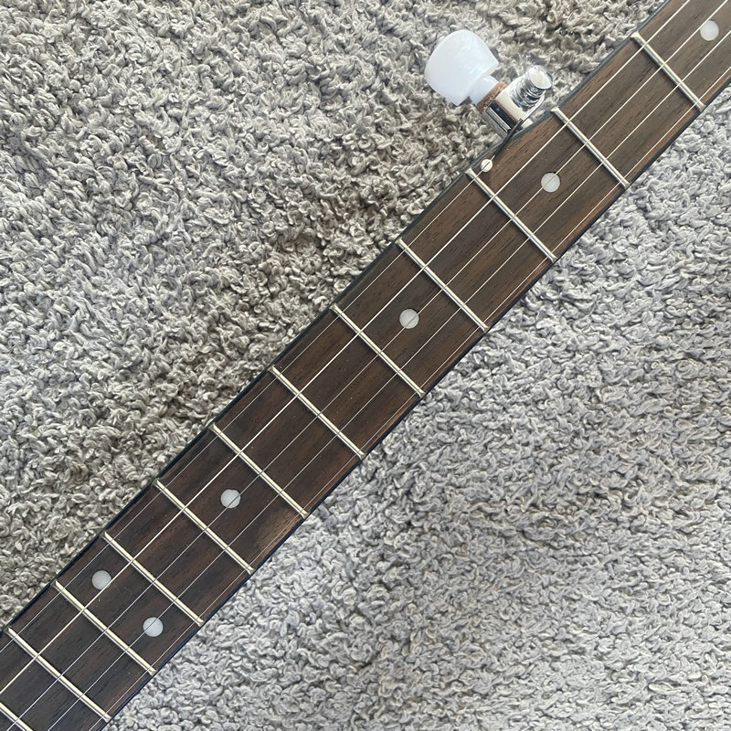 J065 RALLY 5-String Banjo, Kor - đánh giá và giá Banjo 5 String Open