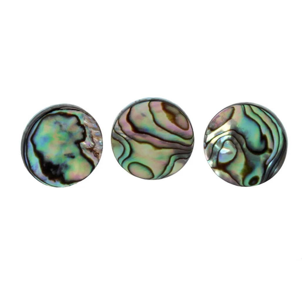 3pcs/set Trumpet Abalone Shell - đánh giá và giá Musical Instrument Horn