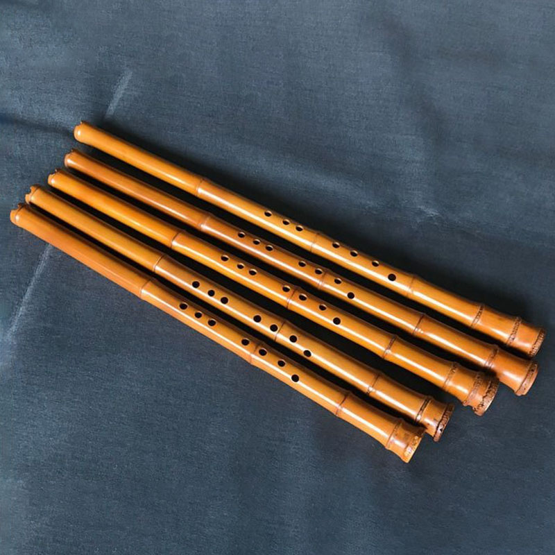 8 Hole Bamboo Xiao Performance - đánh giá và giá Musical Instrument I Play