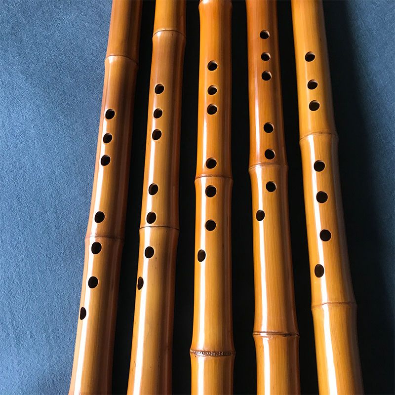 8 Hole Bamboo Xiao Performance - đánh giá và giá Musical Instrument I Play