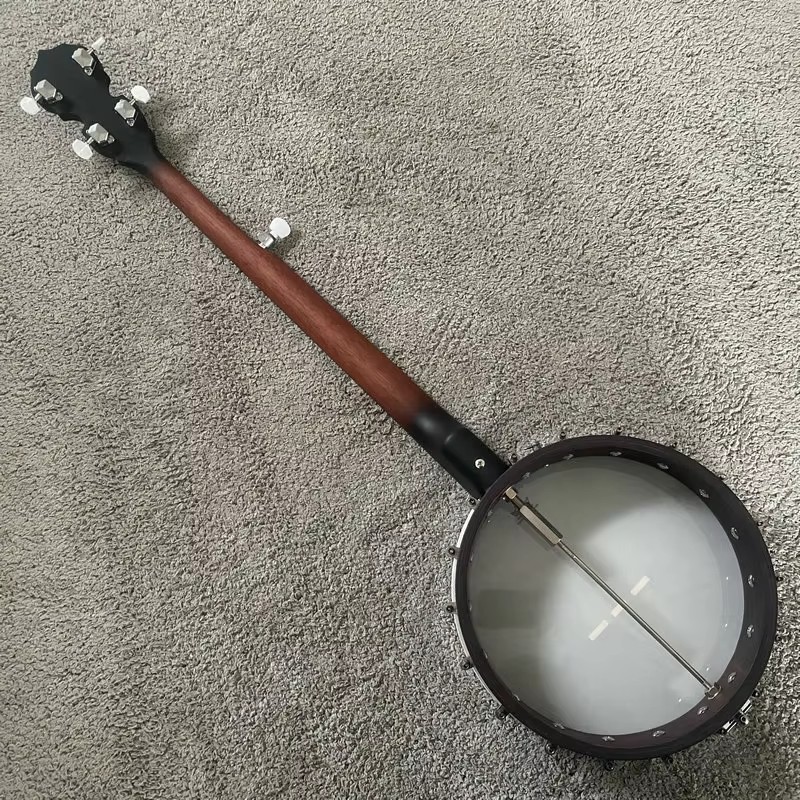 G881 Rally 5-String Banjo, 22  - đánh giá và giá Banjo 5 String Open
